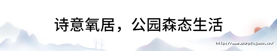 1665733546760649M899.png 1665733546760649M899.png